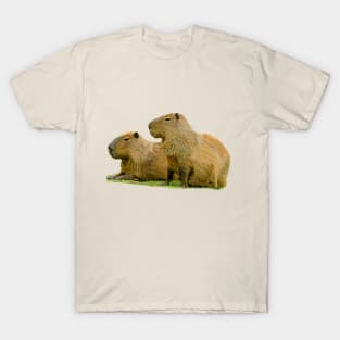 Pair of Capybara T-Shirt